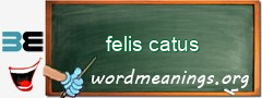 WordMeaning blackboard for felis catus